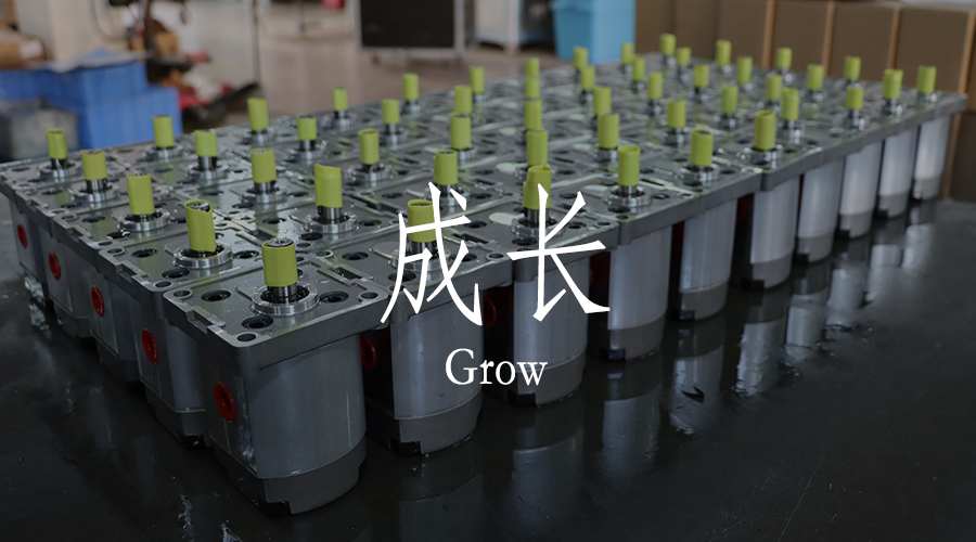 NNT：聚焦團(tuán)隊(duì)建設(shè)，促使專業(yè)成長(zhǎng)