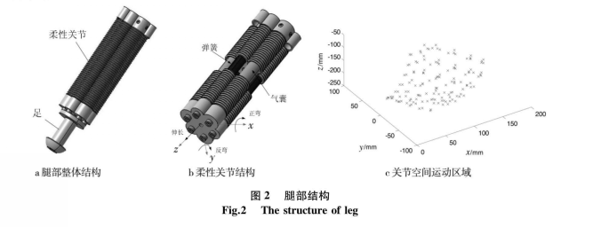 腿部結(jié)構(gòu)